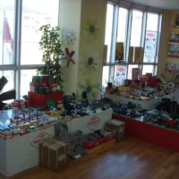 akyel-gorup-about (10)