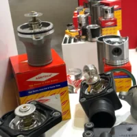 akyel-gorup-about (11)