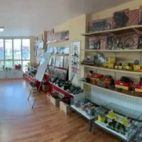 akyel-gorup-about (16)